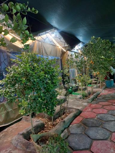 عکس سفره خانه شبستان