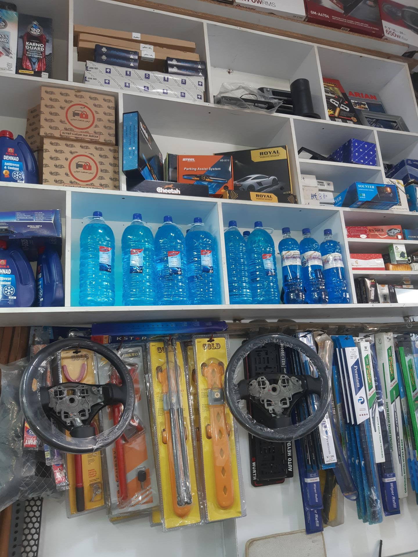 عکس اسپرت مجید 