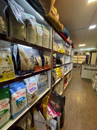 عکس کلینیک حیوانات خانگی امید