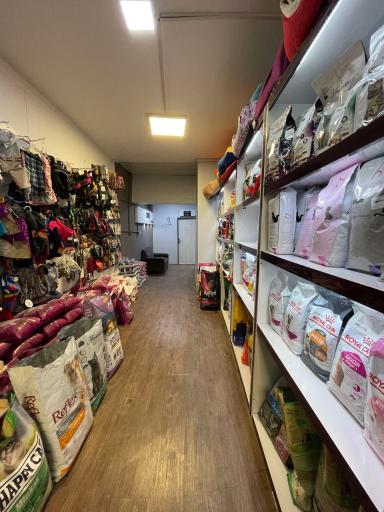 عکس کلینیک حیوانات خانگی امید