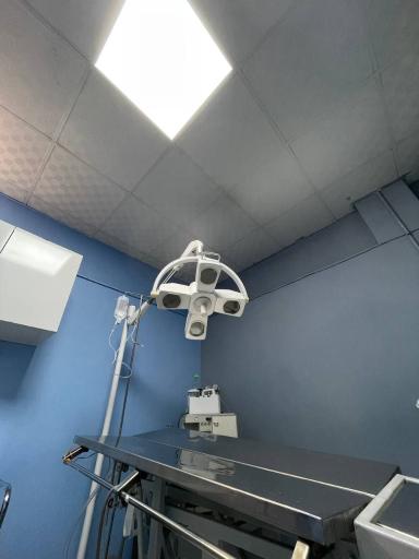 عکس کلینیک حیوانات خانگی امید