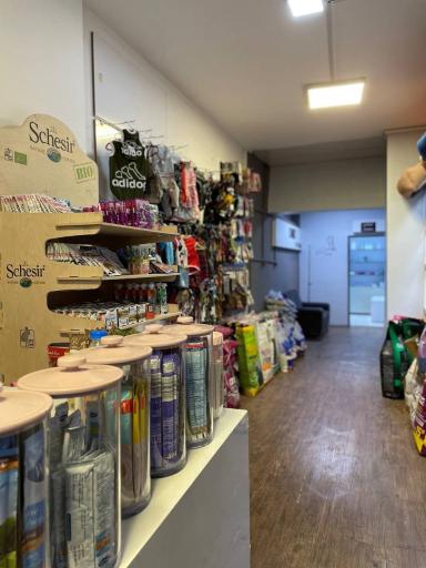 عکس کلینیک حیوانات خانگی امید