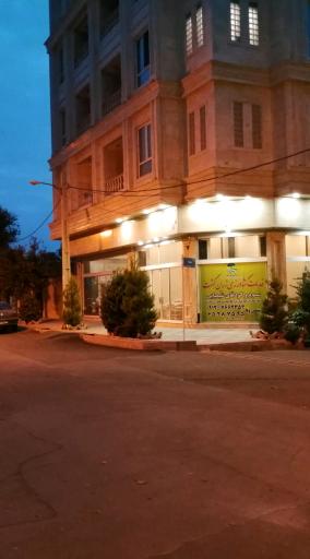 زرین کشت