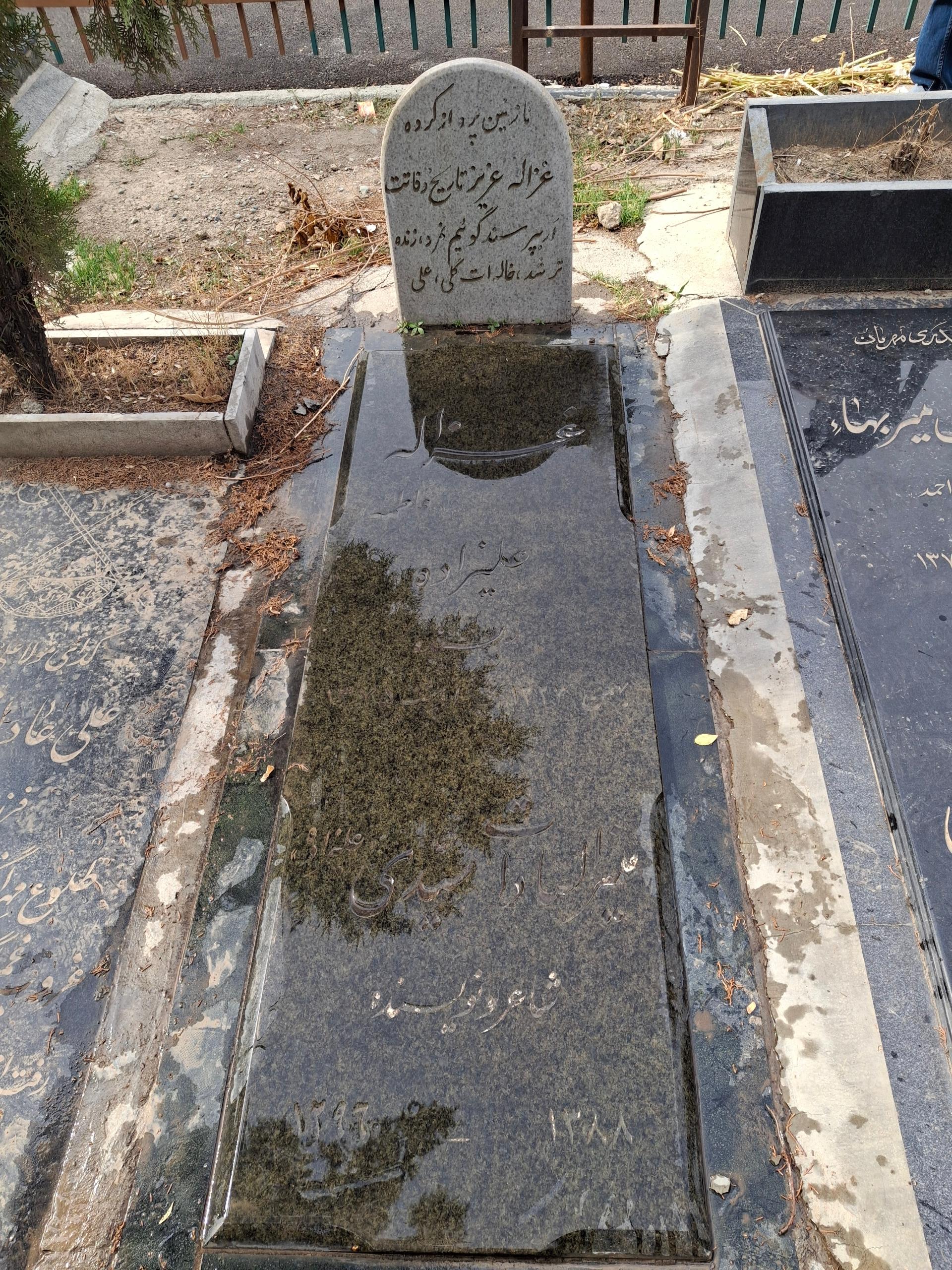 عکس مزار غزاله علیزاده