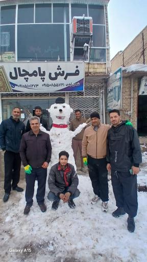 عکس فرش پامچال 