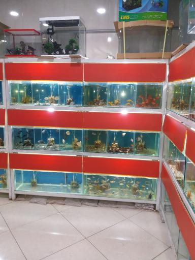 عکس اکواریوم ردلاین