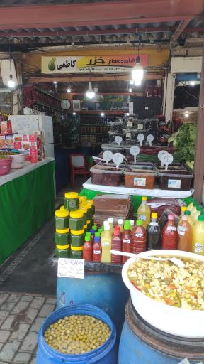 عکس زیتون خزر کاظمی نوشهر