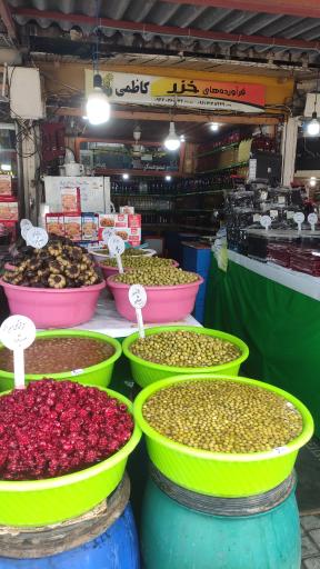 عکس زیتون خزر کاظمی نوشهر