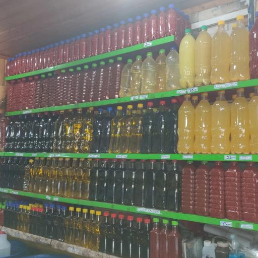 زیتون خزر کاظمی نوشهر