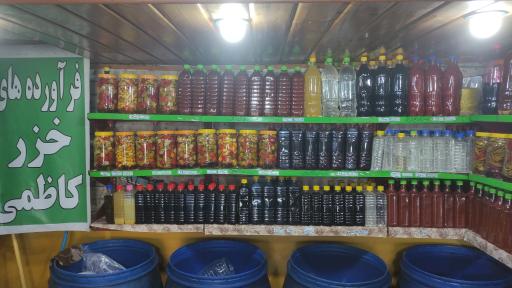 زیتون خزر کاظمی نوشهر