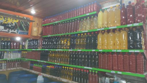 زیتون خزر کاظمی نوشهر