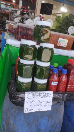 عکس زیتون خزر کاظمی نوشهر