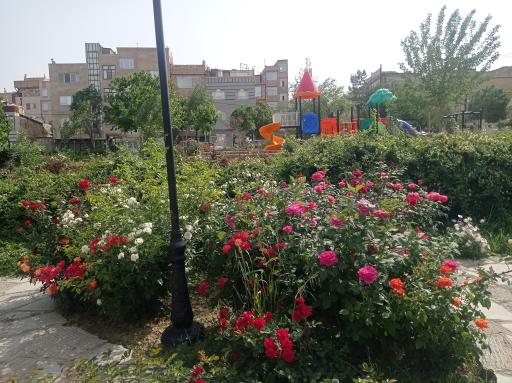 عکس بوستان خطی غنچه