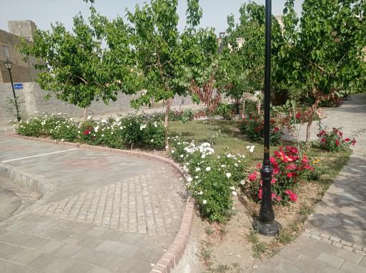 عکس بوستان خطی غنچه