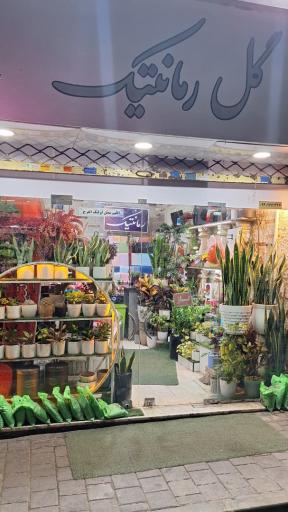 عکس گل فروشی