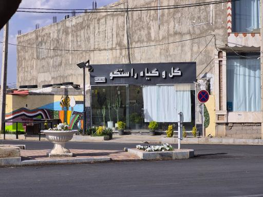 عکس گل و گیاه راستگو