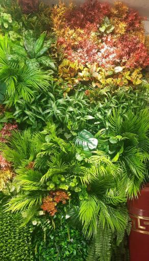 عکس دنیای چمن مصنوعی مدرس