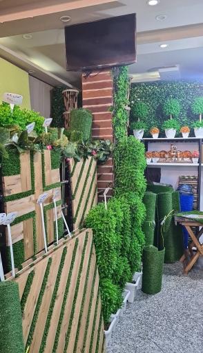 عکس دنیای چمن مصنوعی مدرس