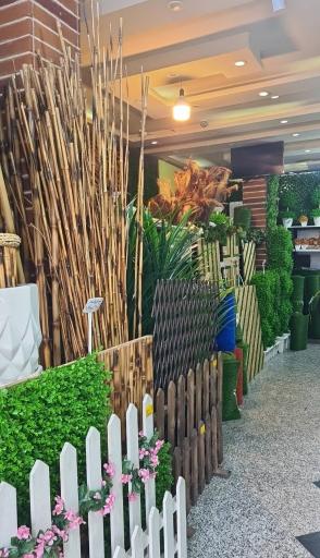 عکس دنیای چمن مصنوعی مدرس