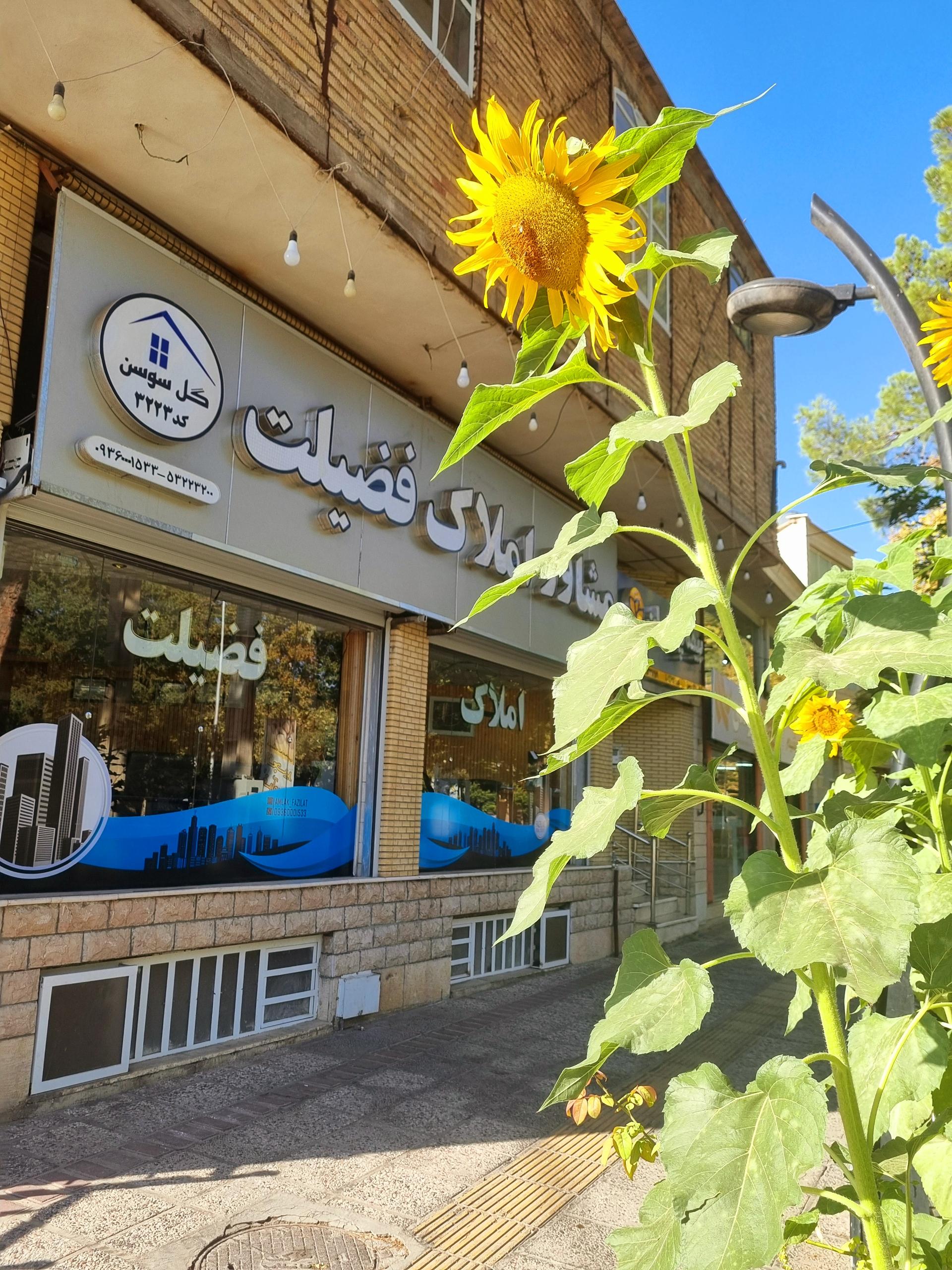 عکس املاک فضیلت