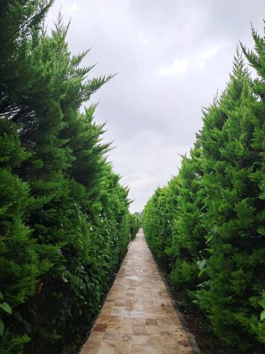 عکس اقامتگاه طلائیه