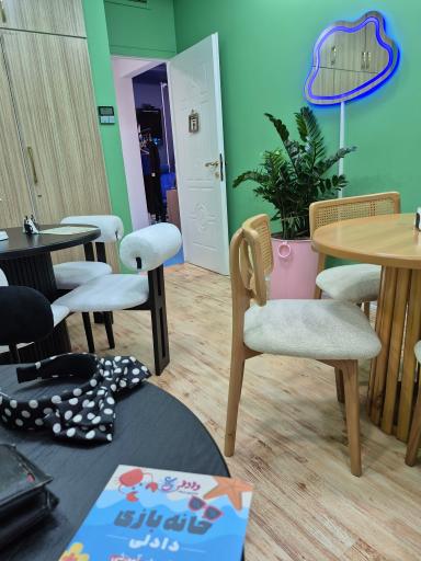 عکس خانه بازی دادلی