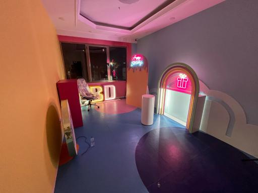 عکس خانه بازی دادلی