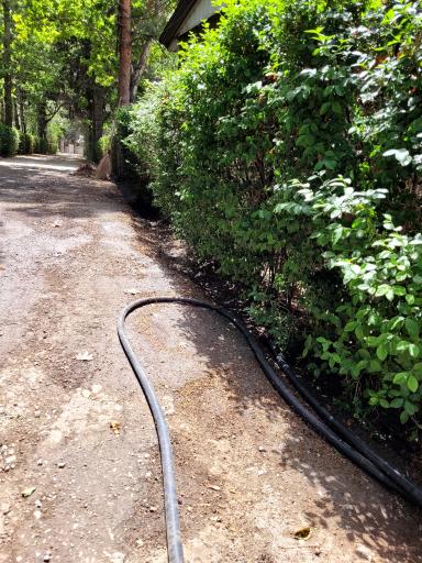 عکس باغ تالار گلسرخ