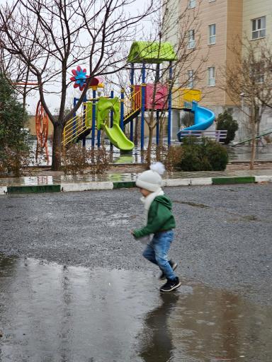 مجتمع سیدرضی