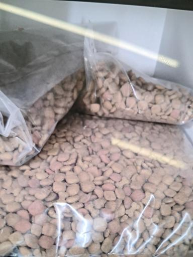 عکس پت شاپ هایپت