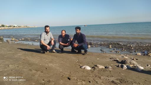 عکس ساحل دریا بندر عباس 