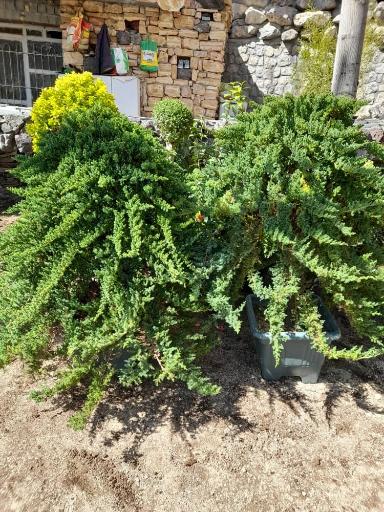 عکس فروشگاه نهالستان و چمن مصنوعی جهان (شعبه رودهن)