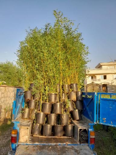 عکس فروشگاه نهالستان و چمن مصنوعی جهان (شعبه رودهن)