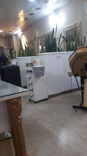 عکس زیبایی رویا پرنیان vip