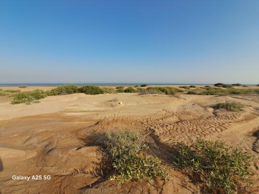 عکس ساحل عروسان نقاشه