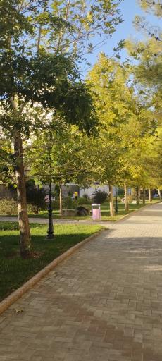 عکس بوستان بیداری