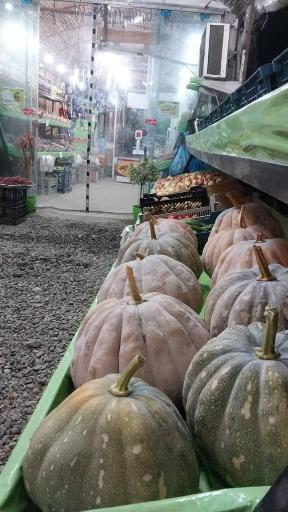 عکس میوه سرای چشمه