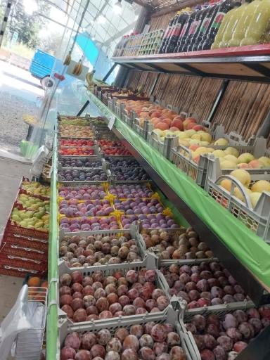 عکس میوه سرای چشمه