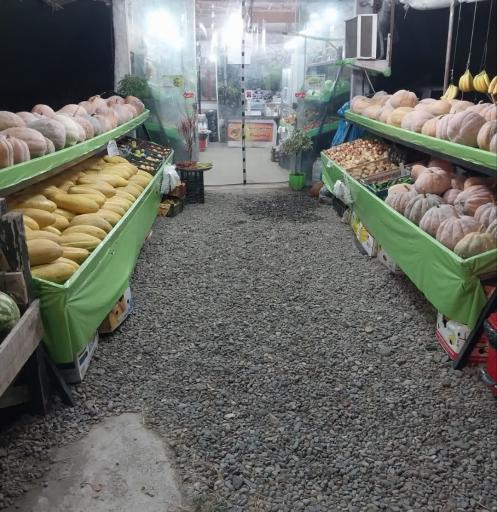 عکس میوه سرای چشمه