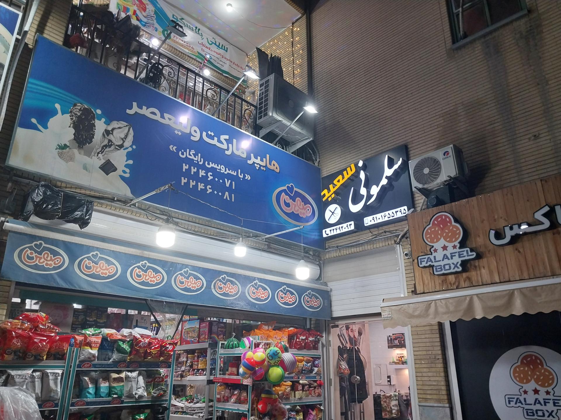 عکس سلمونی سعید