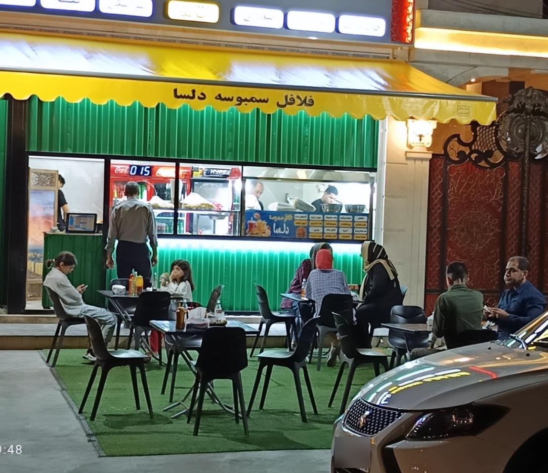 عکس فلافل سمبوسه دلسا