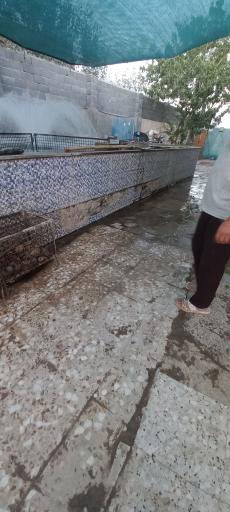 عکس پرورش ماهی زنده رود (علیرضایی)