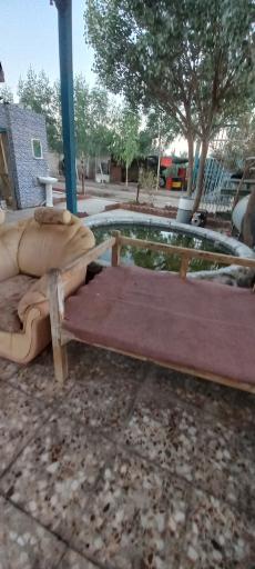 عکس پرورش ماهی زنده رود (علیرضایی)