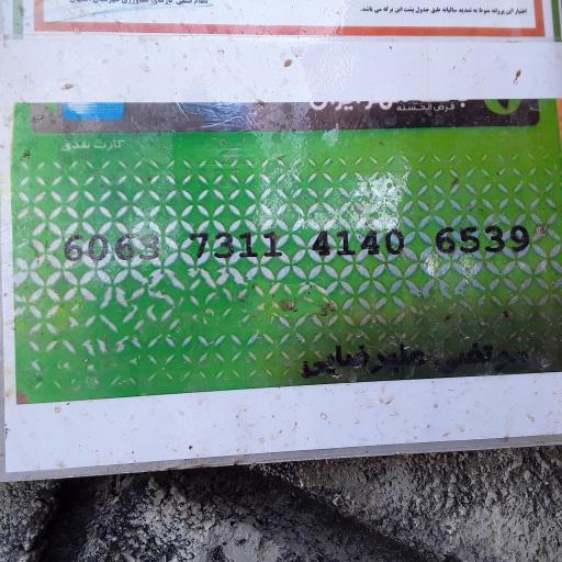 عکس پرورش ماهی زنده رود (علیرضایی)