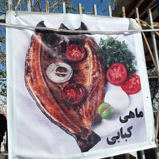 عکس پرورش ماهی زنده رود (علیرضایی)