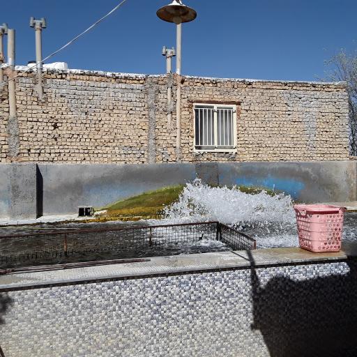 عکس پرورش ماهی زنده رود (علیرضایی)