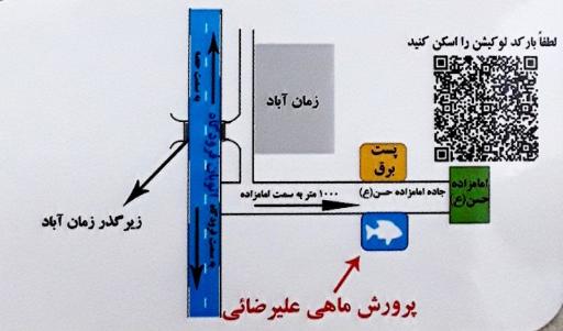 عکس پرورش ماهی زنده رود (علیرضایی)