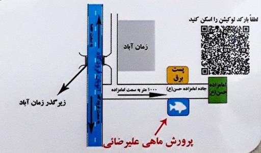 پرورش ماهی زنده رود (علیرضایی)