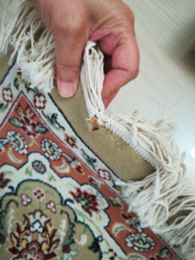 عکس قالیشویی درخشان 