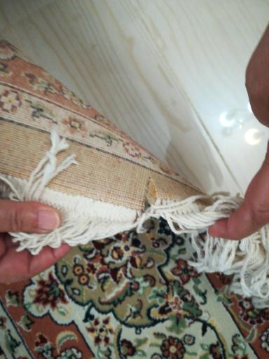 عکس قالیشویی درخشان 